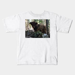 Scottish Highland Cattle Calf 1802 Kids T-Shirt